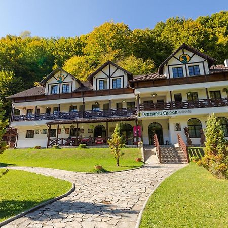 Pensiunea Ciprian Curtea de Argeş Esterno foto