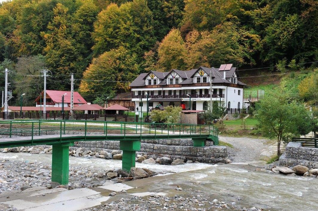Pensiunea Ciprian Curtea de Argeş Esterno foto